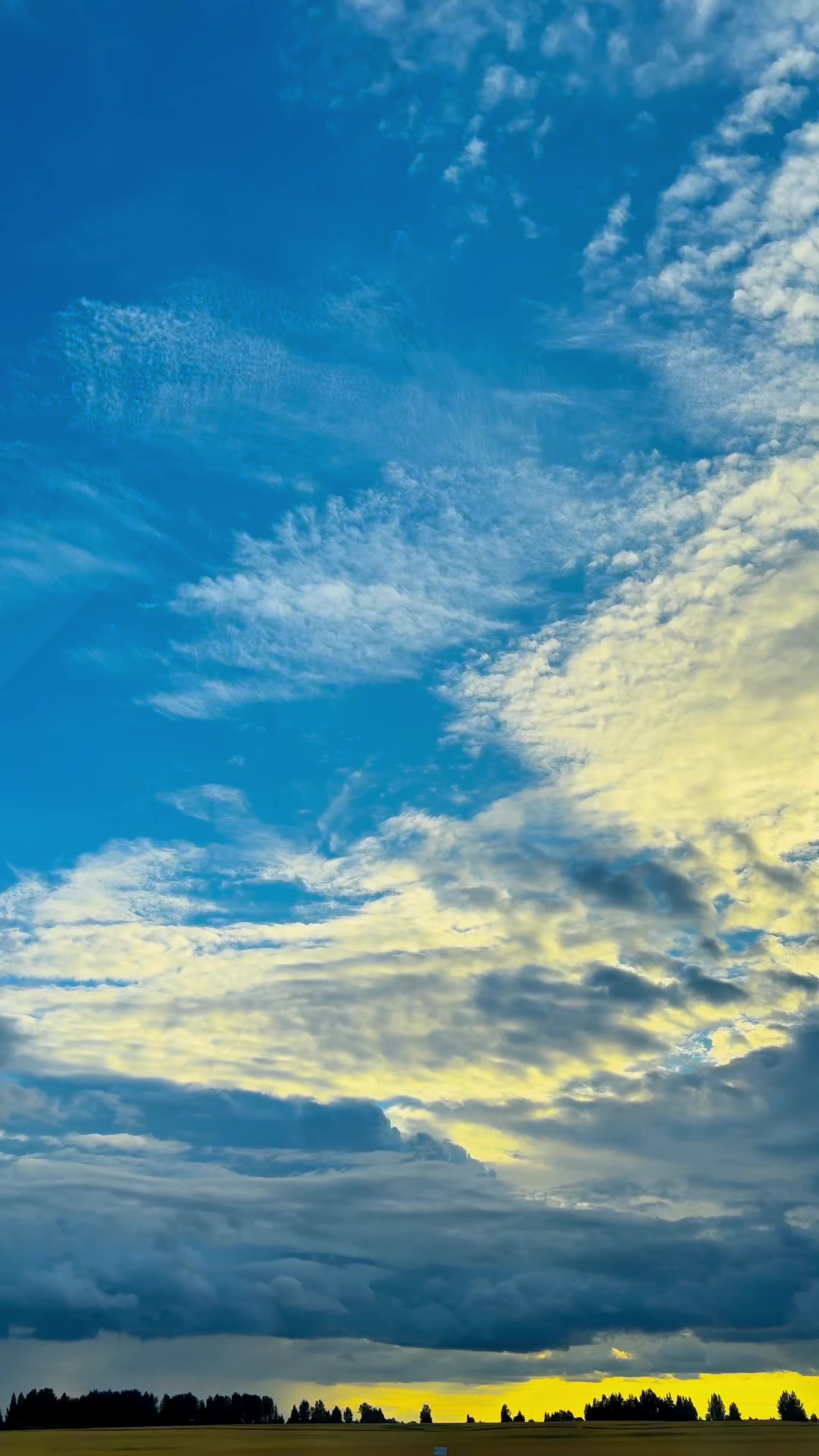 🌤️